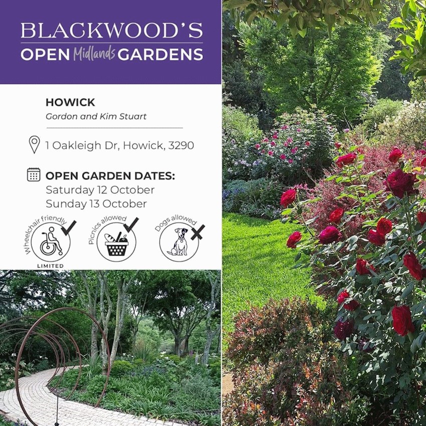 12 13 oct oakleigh garden howick