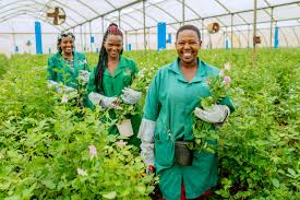 1732186076 Female FTA farmers