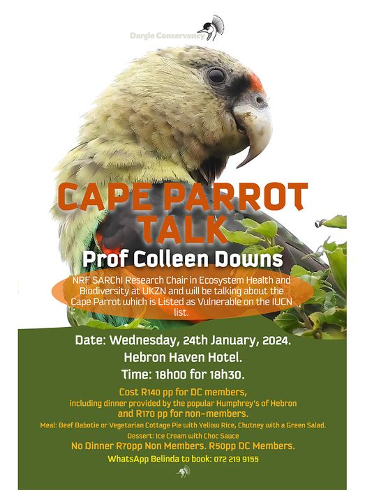 24 jan darhle parrot talk