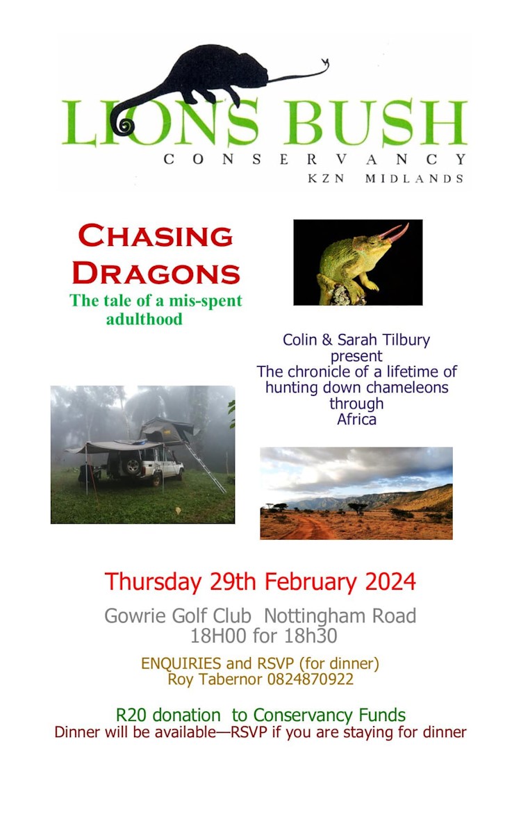 29 feb chasing dragons