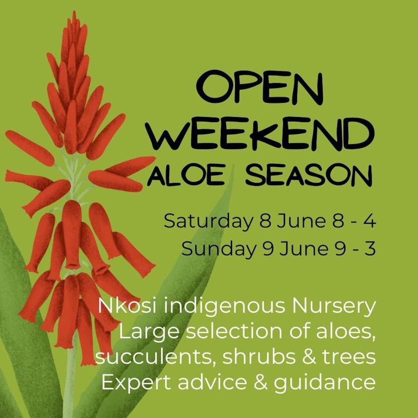 aloe howick june