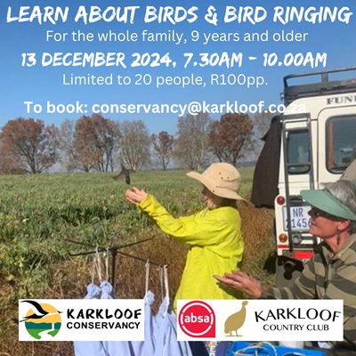 birds 13 dec karkloof