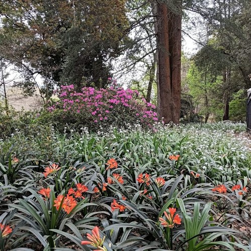 bosch hoek open garden september