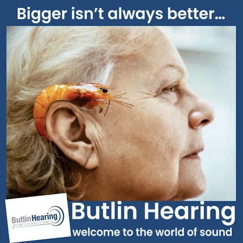 butlin hearing aids