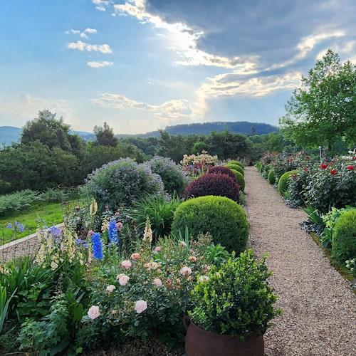 dargle milford garden