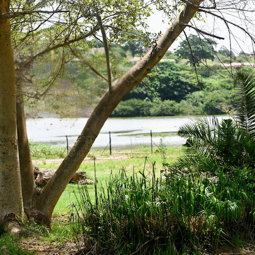 eNanda Adventure Park