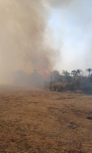 fence fire