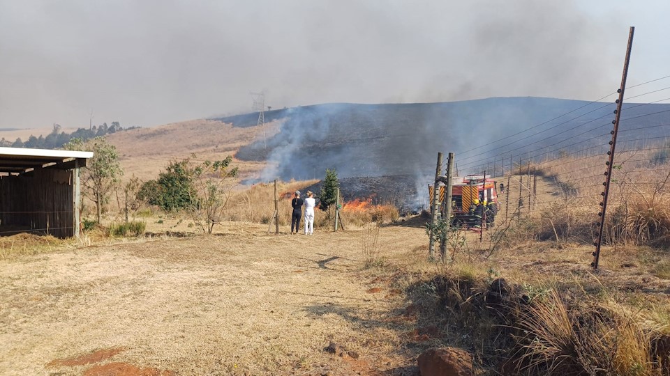fires di santoro