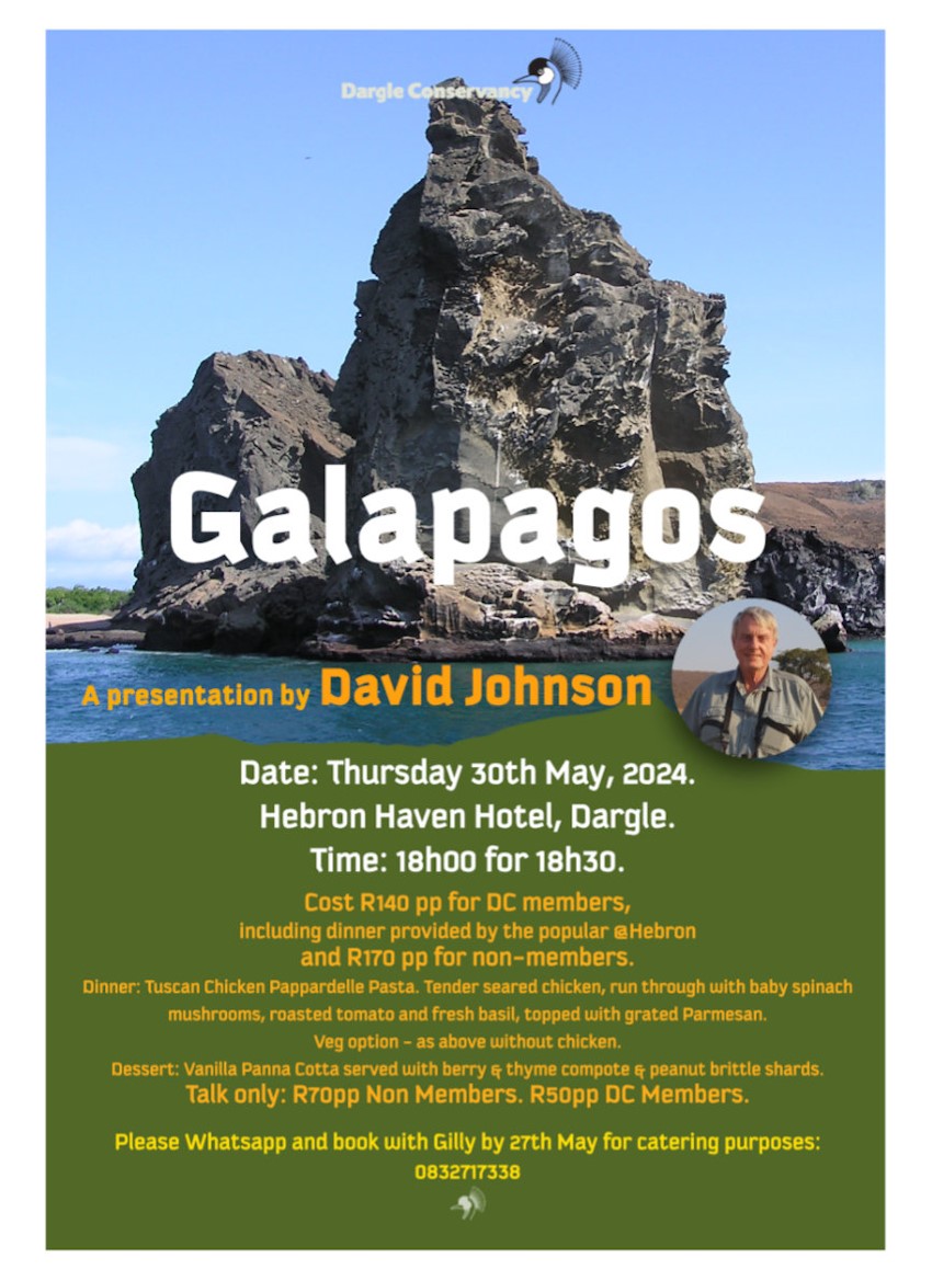 galapagos david johnson