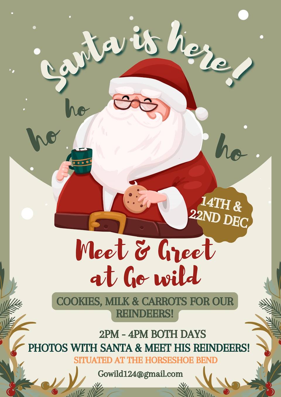 go wild santa fulll image