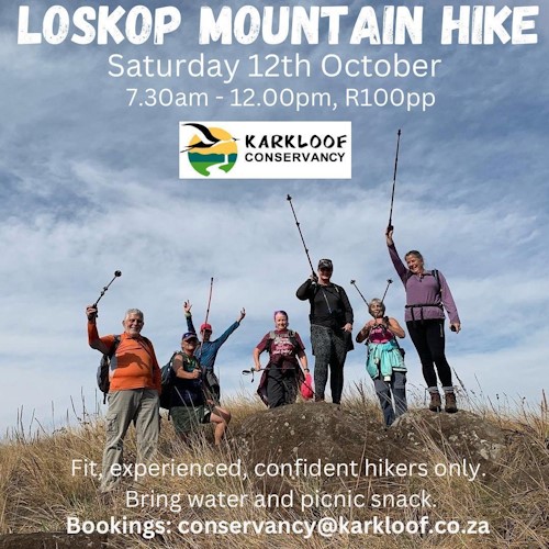 loskop 2024