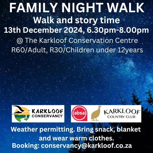 night walk 2024