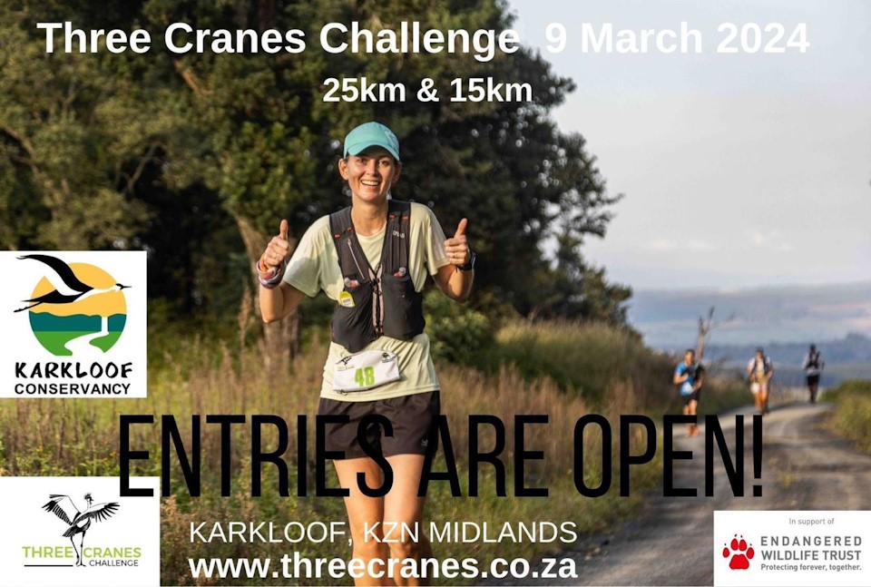 three cranes 9 march Howick