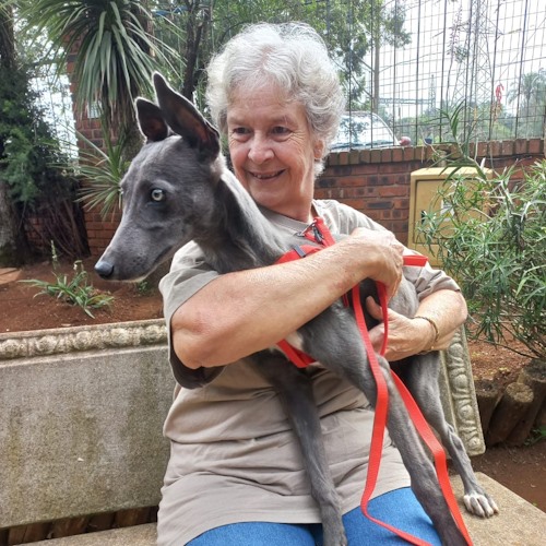 umgeni spca