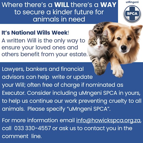 wills week 2024 unmgeni spca news