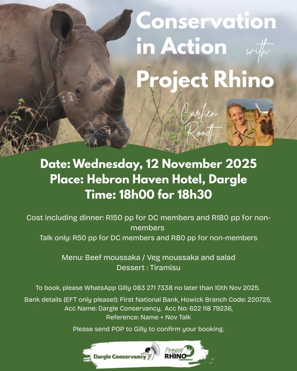 12 nov operation rhino hebron haven