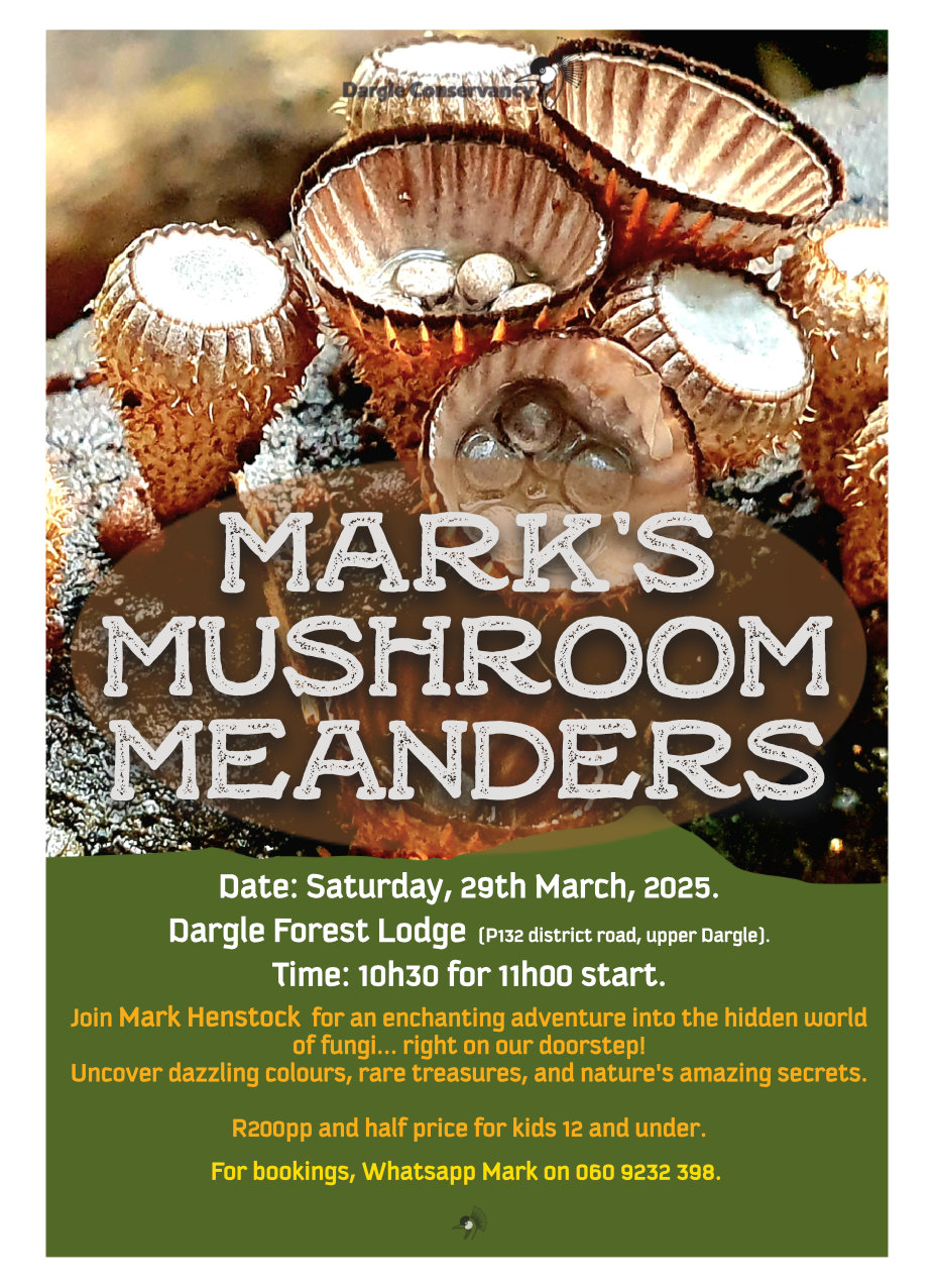 29 march howick mushroom meander