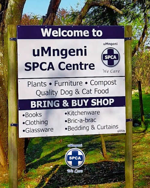 39 main street spca shop 6