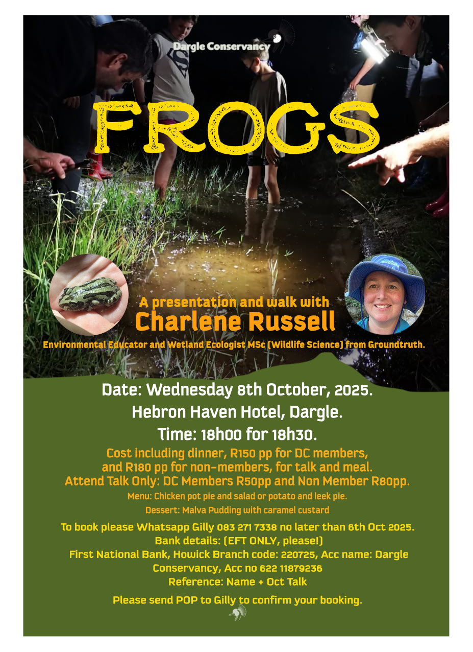 8 oct frog night hebron haven