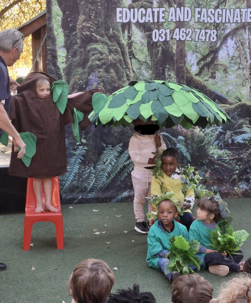 Educate and Fascinate Rainforest