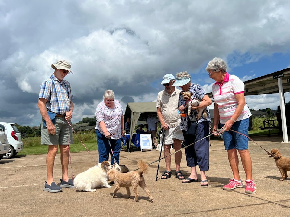 The locals meet and greet spca clinic at amber valley