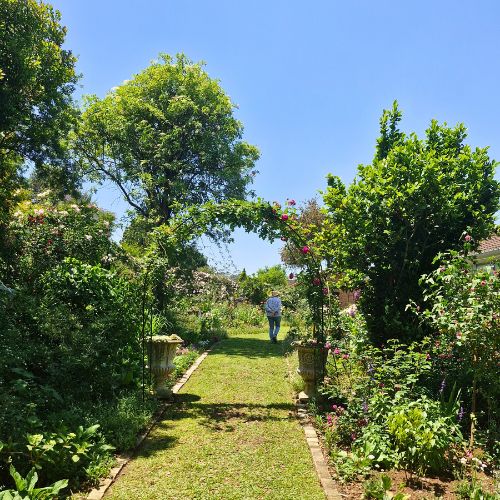 amberfield gardens oct 25
