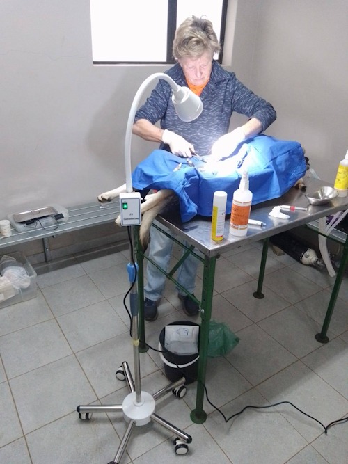 dr lee pachonik funda nenja sterilisation clinic july 2025