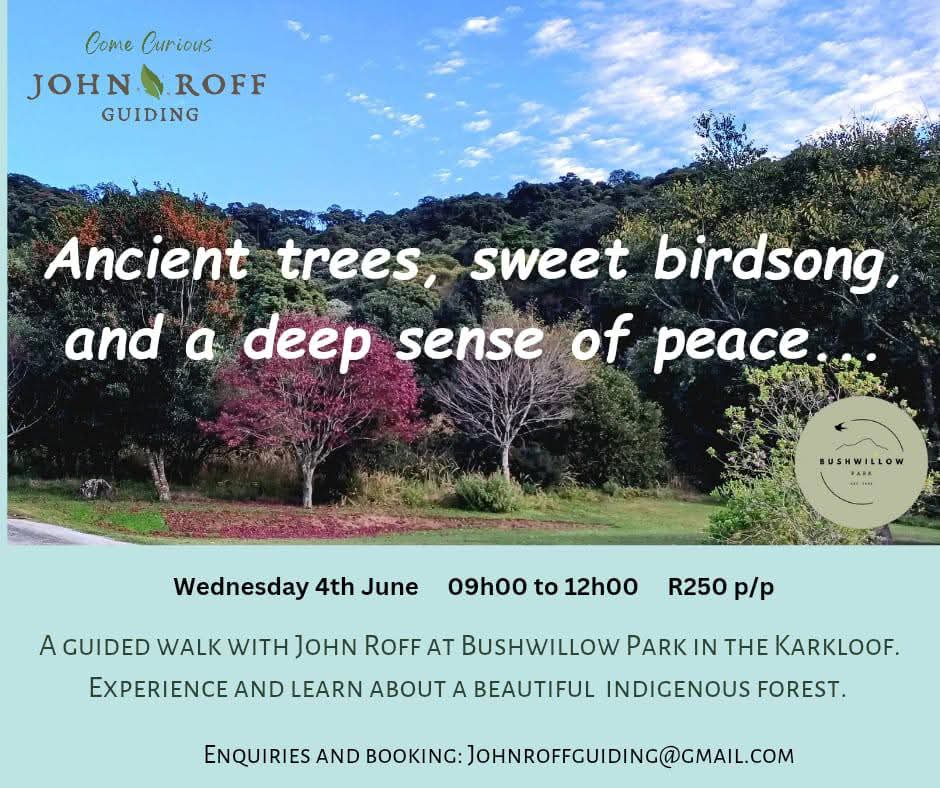 guided walk 4 june karkloof