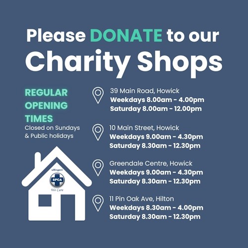 spca charity shops