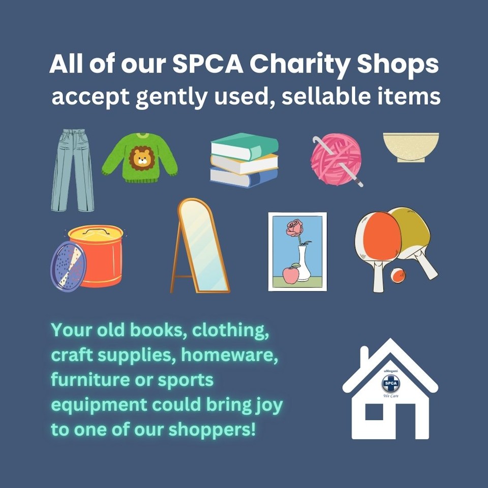 spca charity shops b