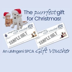 spca gift vouchers cover