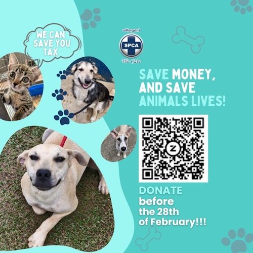spca tax saving howick