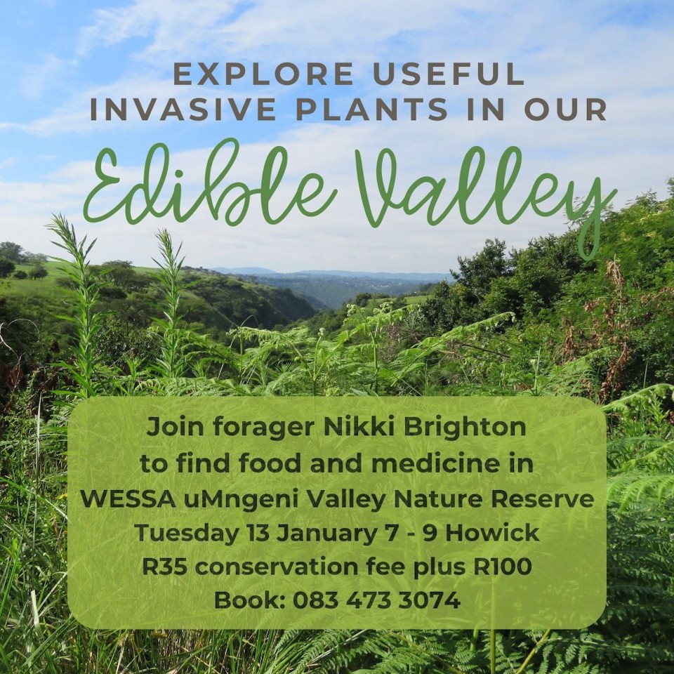 13 jan forage wessa