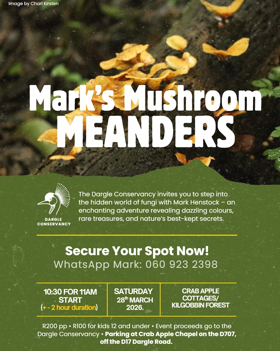 28 march mushroom walk