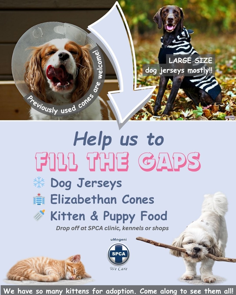 Contact details SPCA 4