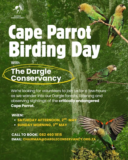 cover cape parrot day