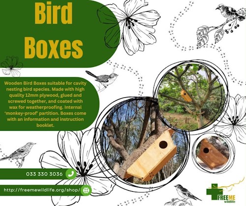 free me bird boxes