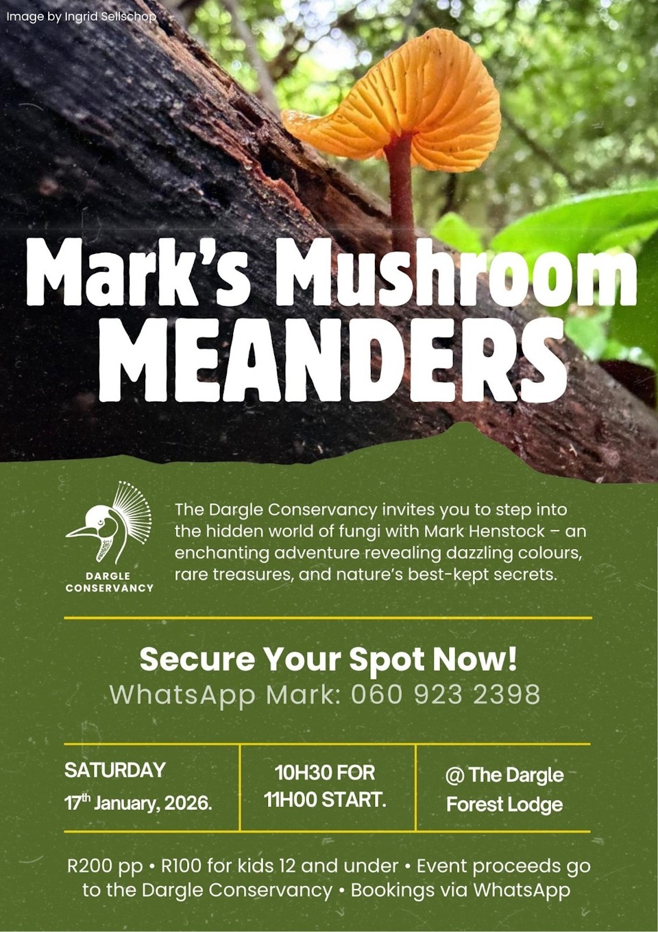 mushroom meander