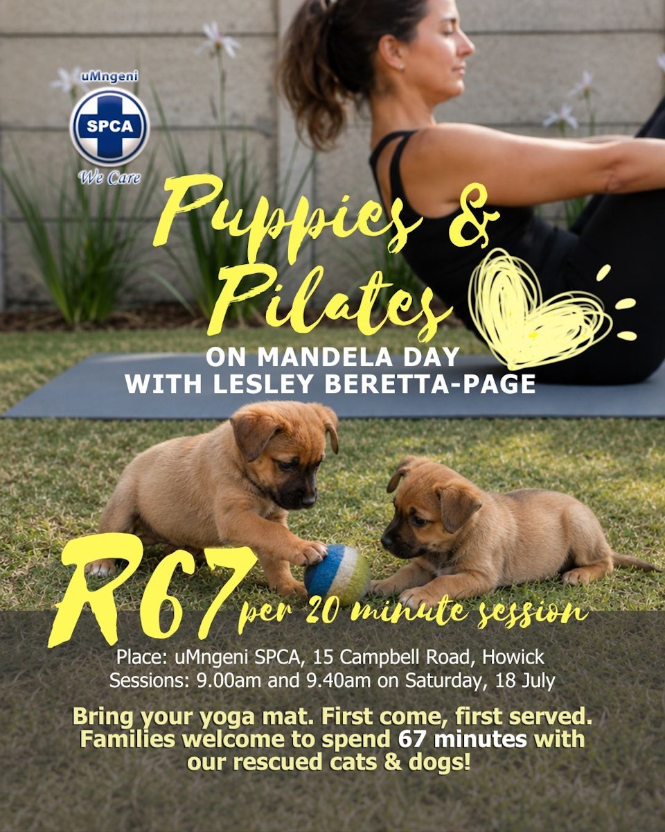 lesley page beretta spca mandela day