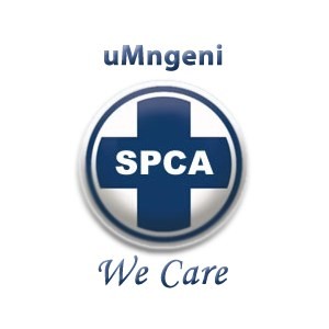 spca 2026 logo