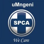 umngeni spca