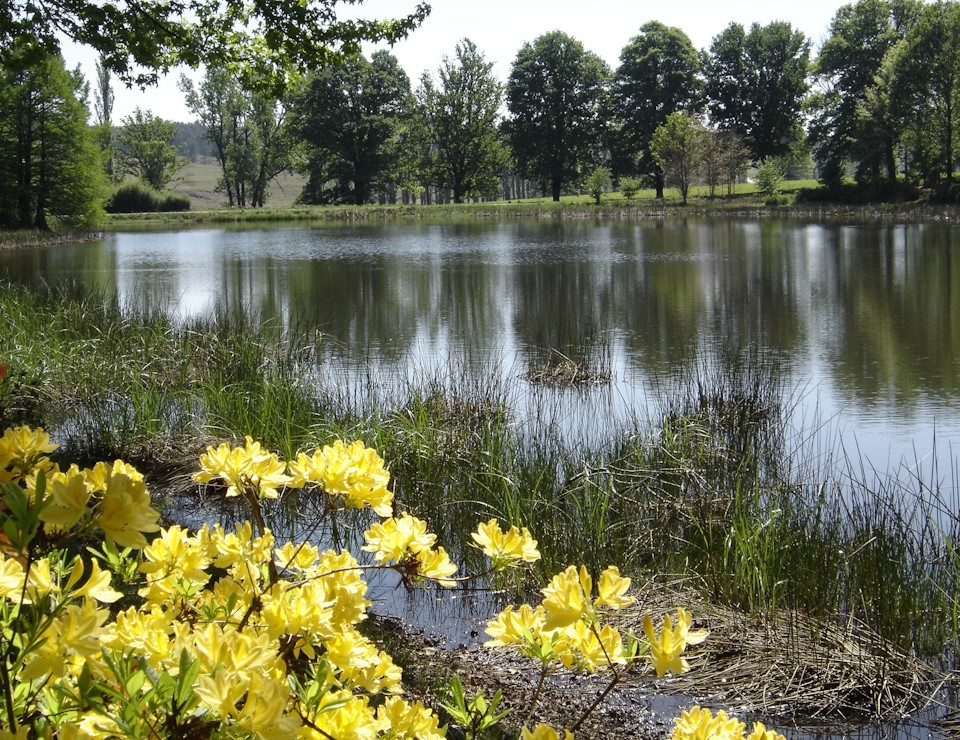 benvie 2023 pond copy