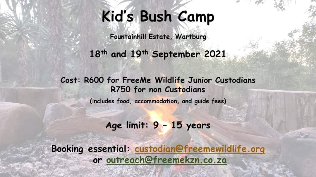bush camp