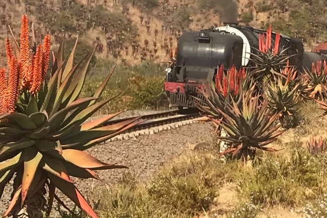 creighton steam train