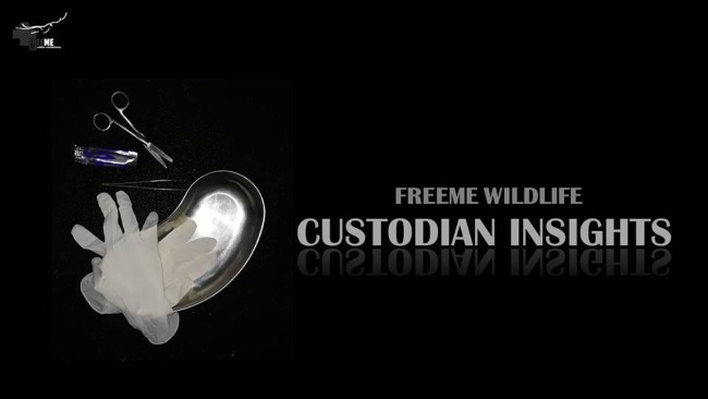 custodian