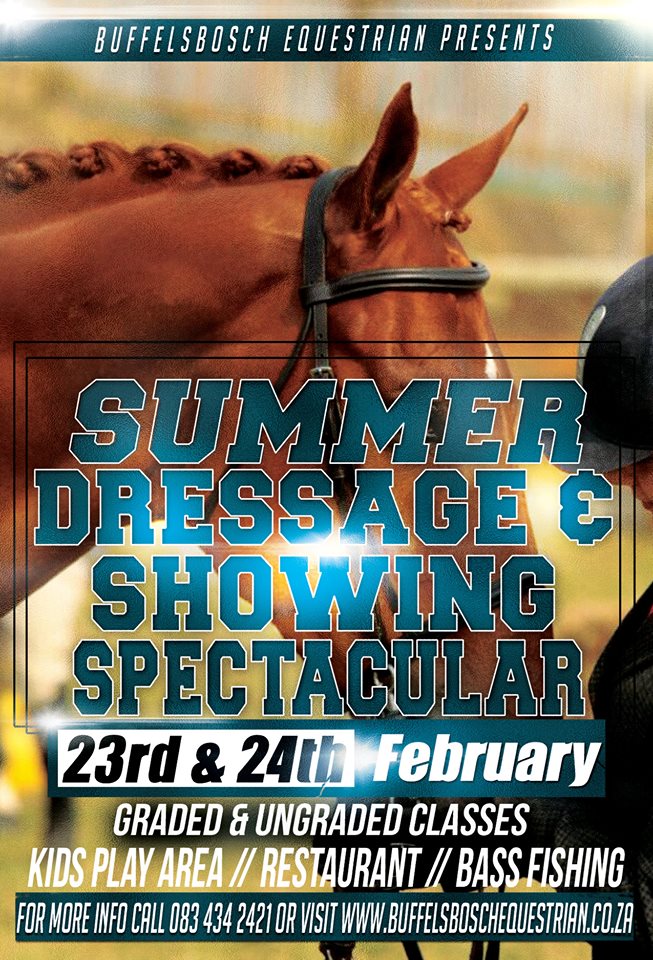 dressage