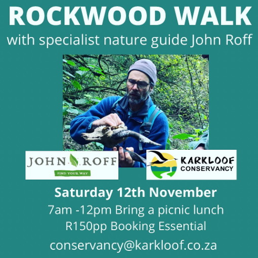 12 nov am rockwood walk