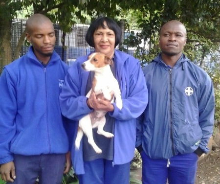 spca miracle rescue
