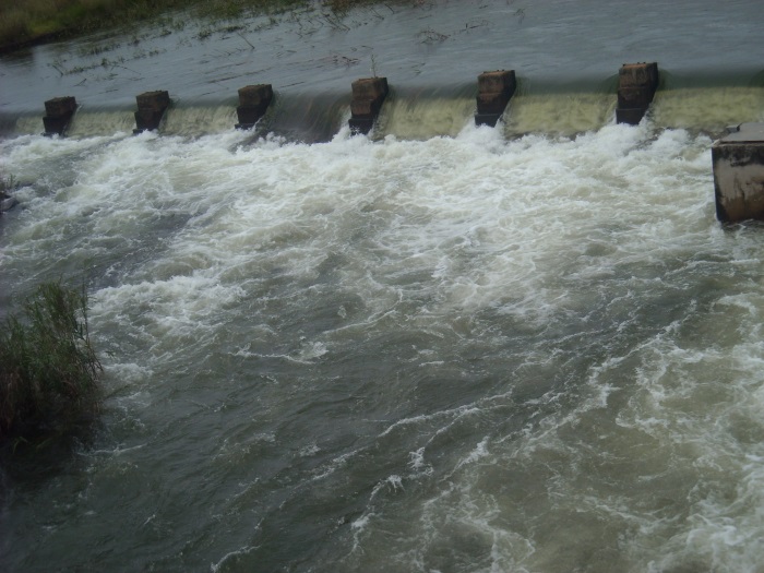 spca river rescue