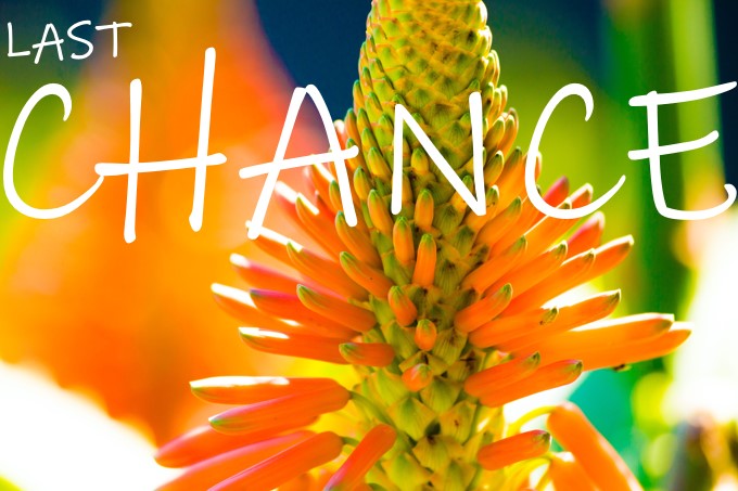 HowickVillage.co.za
